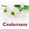 Ceulemans