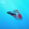 Aquarium Builder: My Pet Fish Tank Maker