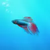 Aquarium Builder: My Pet Fish Tank Maker App Positive Reviews