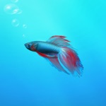 Download Aquarium Builder: My Pet Fish Tank Maker app