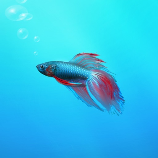 Aquarium Builder: My Pet Fish Tank Maker icon