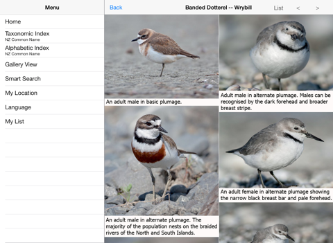 Birds of New Zealand LITEのおすすめ画像5