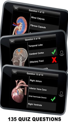 Anatomy 3D - Organs screenshot 3