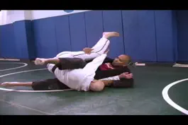 Game screenshot Erie BJJ Seminar apk