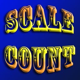 Scale Counter