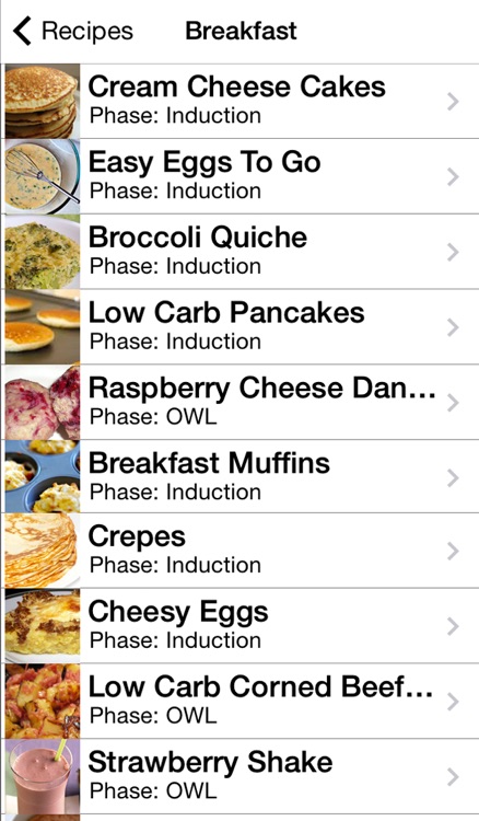 101+ Atkins Diet Recipes - Tips, Food Checker, and More