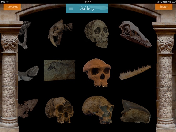 NHM Evolution screenshot-4