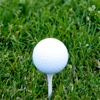 My Golf Shots