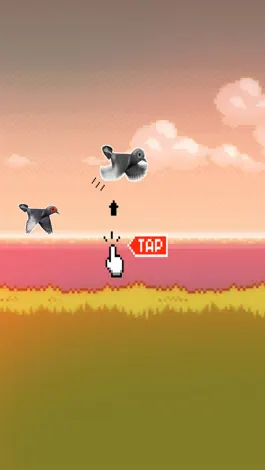 Game screenshot Crappy Bird - Pigeons take Aim! apk