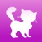 The best collection of cute, funny and adorable Kitten Wallpapers in HD quality selected by the WallFive team and updated daily