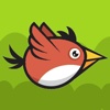 Flappy Mad Bird