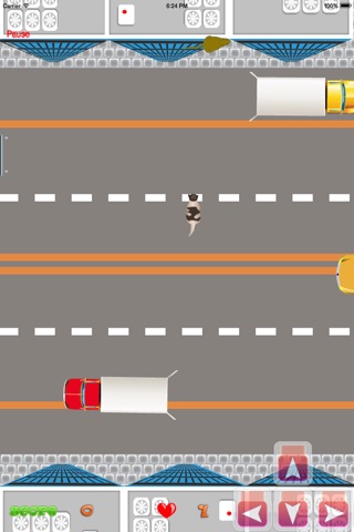 Kittens have 10 life - The cutes kitties in new-york traffic - Free Edition screenshot 4