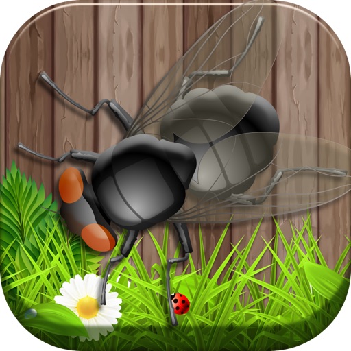 A Smash ANT Squashed - Free Cool Fun Game iOS App