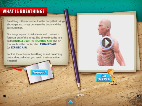 Respiration (School) screenshot 3