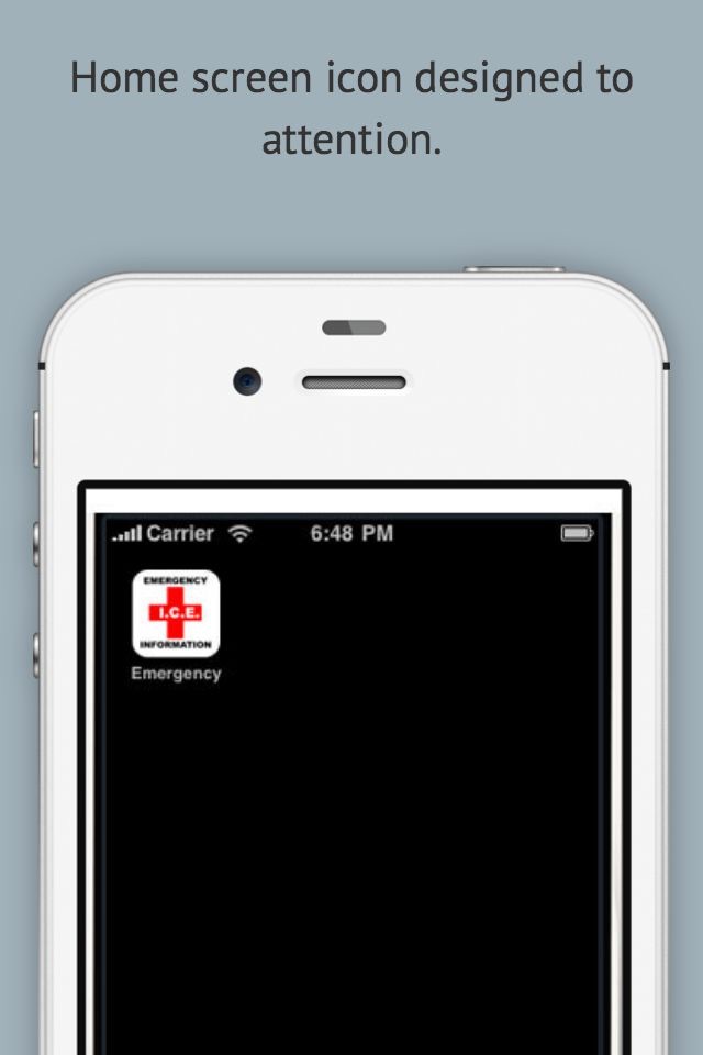 ICE - In Case of Emergency Vital Personal Data screenshot 2