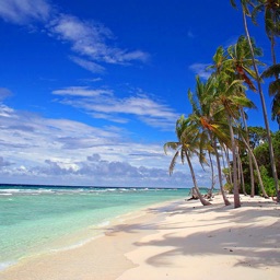 Relax with Tranzotica FREE