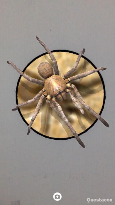 Screenshot #3 pour SPIDERS AR