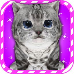 Virtual Pet Kitty Cat