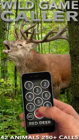 Game screenshot WILD GAME CALLER mod apk