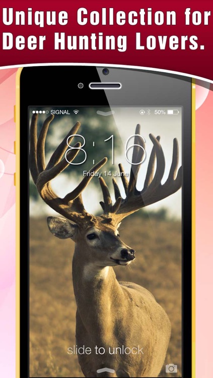 HD Deer Hunting Lock Screens & Wallpapers screenshot-4