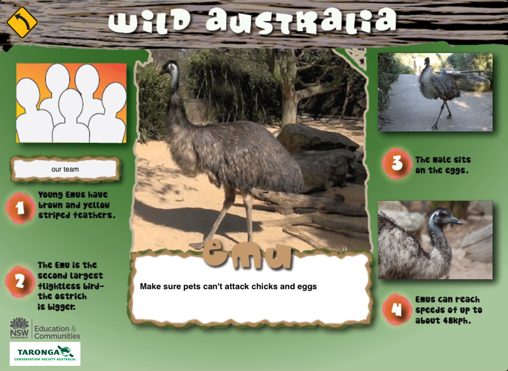 Taronga Zoo - Wild Australia screenshot 2