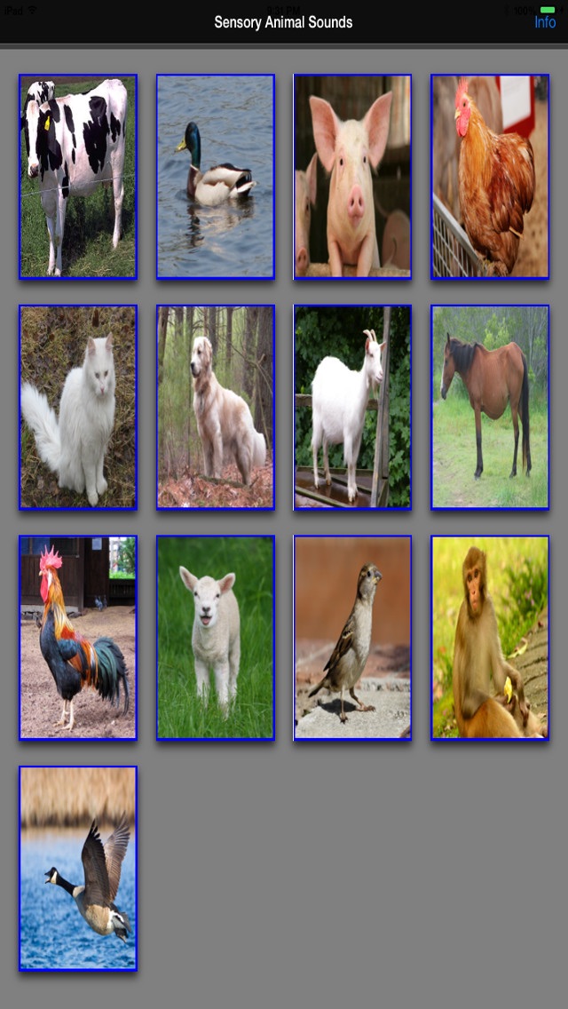 Sensory Animal Sounds Screenshot 1 - AppWisp.com Sensory Animal Sounds Screenshot 1 - AppWisp.com