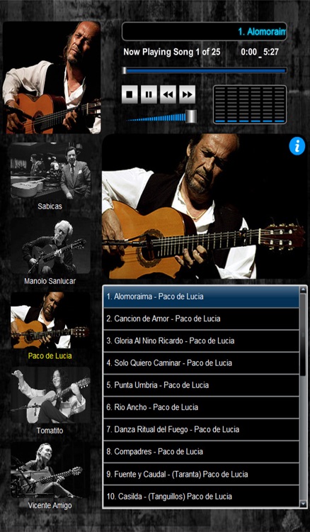 Masters of Flamenco (5 Maestros over 100 Compositions)