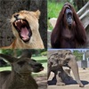 Animal Sound Effects Free!! - iPhoneアプリ