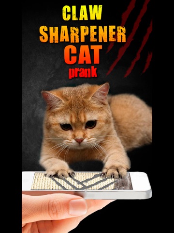 Screenshot #4 pour Claw Sharpener Cat Prank