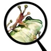 Froguts Frog Dissection for iPhone