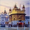 Live Golden Temple