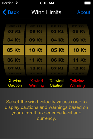 X-Wind Pro screenshot 3