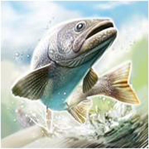 Ace Fishing: Wild Catch