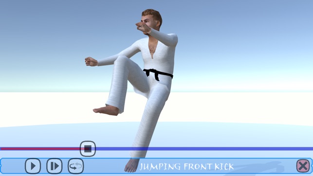Taekwondo Poomsae(圖3)-速報App