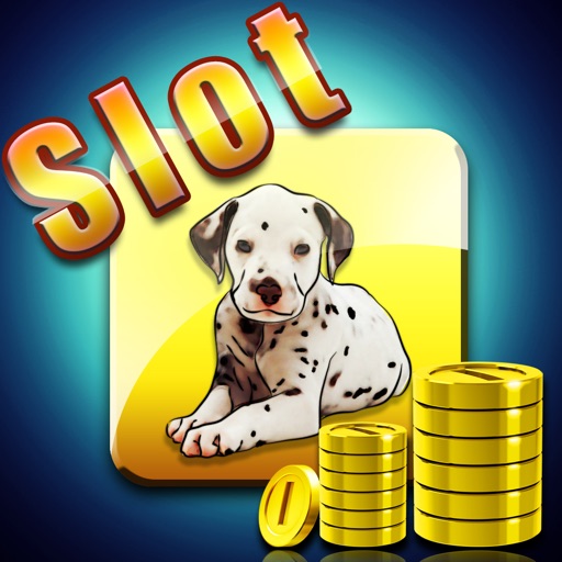 888 Bingo Pet Casino Slots Machine Pro