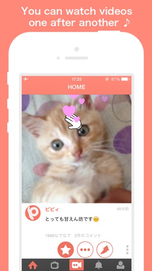 PiVid～You can  share 15 sec videos related to pets !～(圖1)-速報App