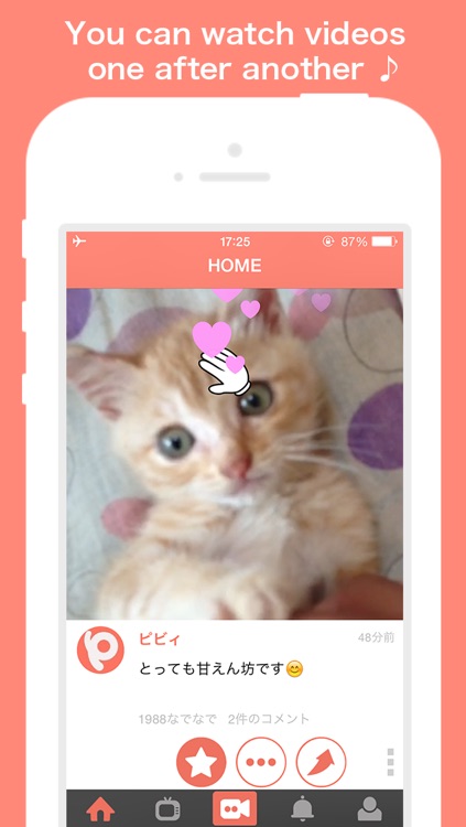 PiVid~You can share 15 sec videos related to pets !~