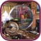 ********** Domestic Mystery Hidden Objects ************