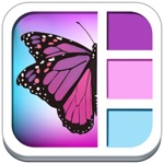 Foto Frame DLX- easy Arty Superimpose yr Picture Frames Chop  Photo Frames  Picture Collage for Instagram Free