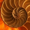 Pisano Period - Fibonacci series and Pisano periods of Fibonacci mod - iPhoneアプリ