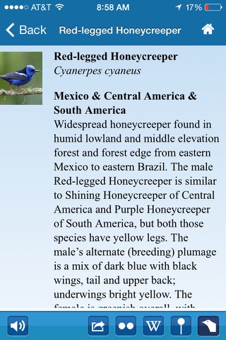 BirdsEye Costa Rica - Bird Finding Guide screenshot 2