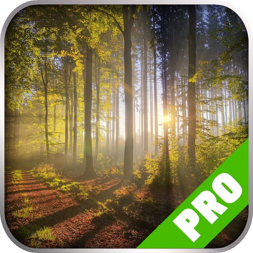 Game Pro - Miscreated Version iOS App