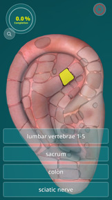 Reflexology Quiz - zones screenshot