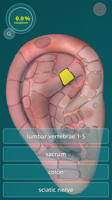 Screenshot #3 pour Reflexology Quiz - zones