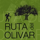 Olive tree routes