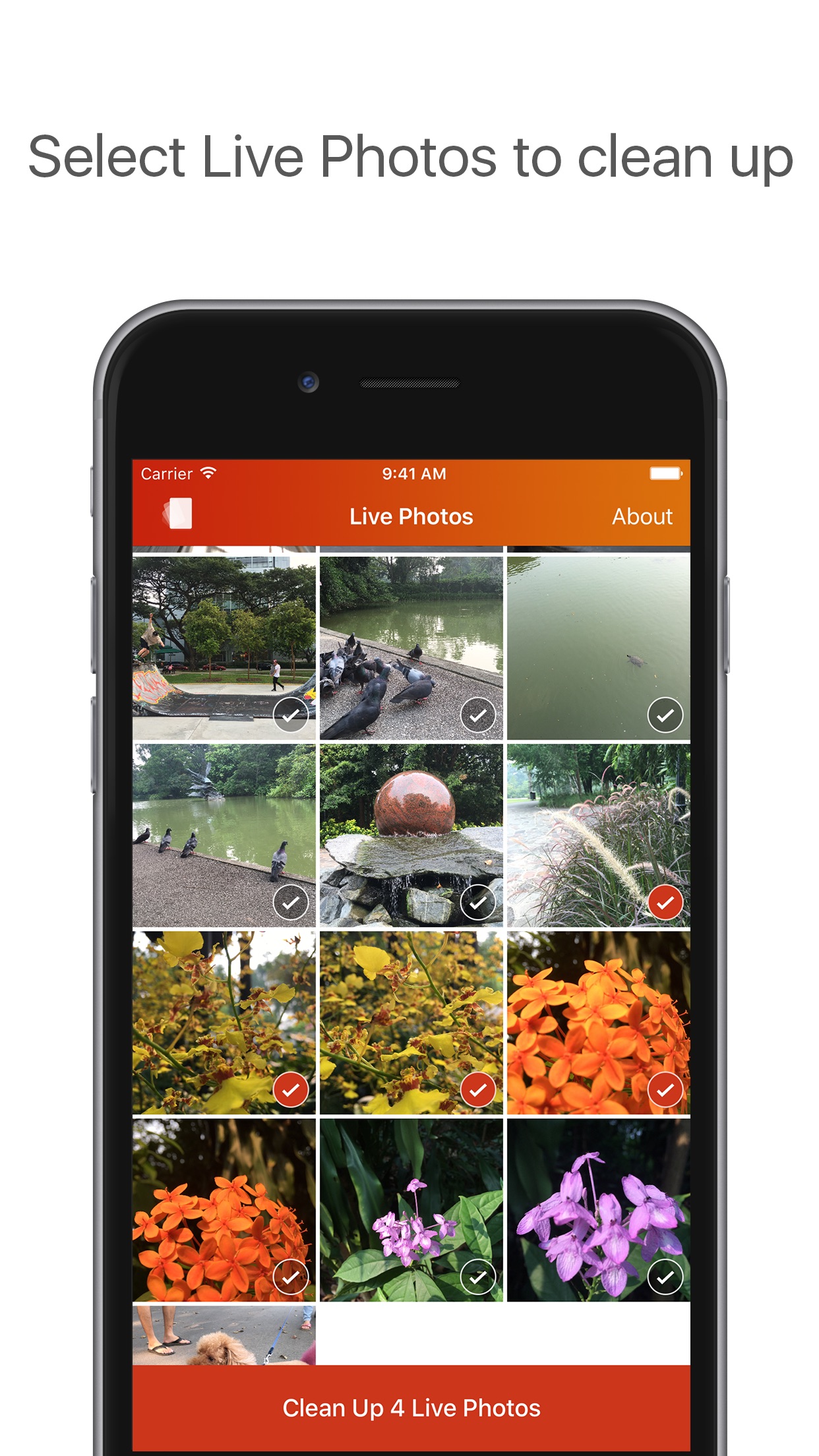 Screenshot do app Lean - Clean up your Live Photos