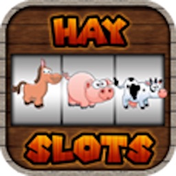 Hay Slots