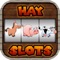Check out all your favorite farm barn animals in this fun slot machine game