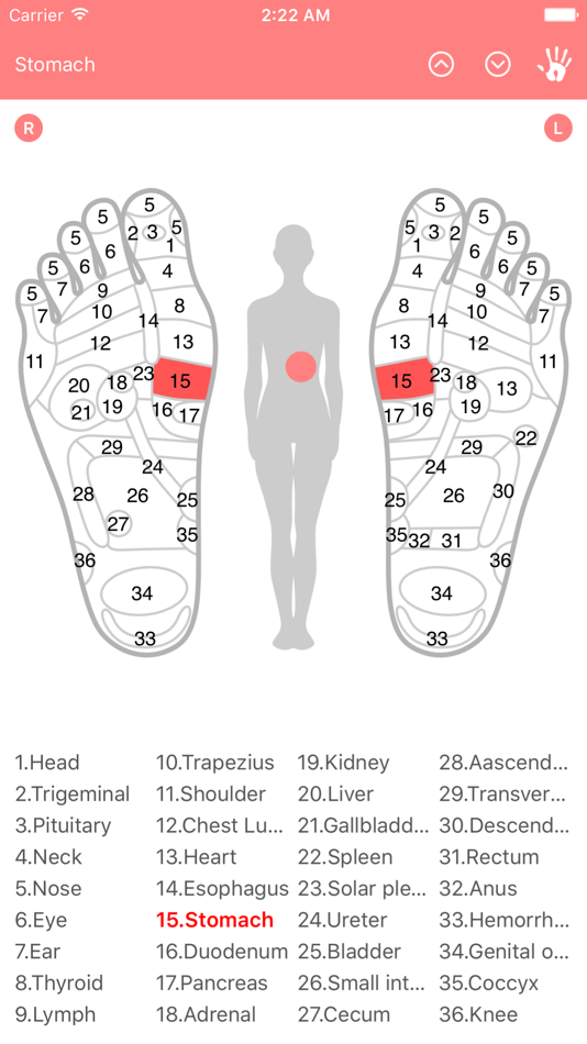 Reflexology Chart (Foot & Hand) - 1.1.0 - (iOS)