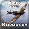 Aces over Normandy. Combat Flight Simulator